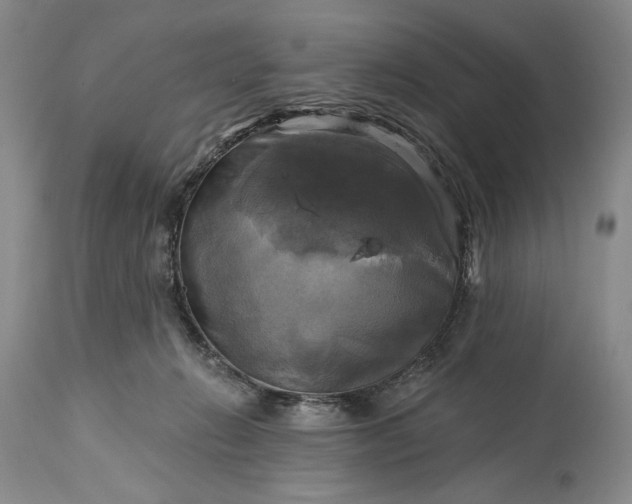 X0000115330270200911161816