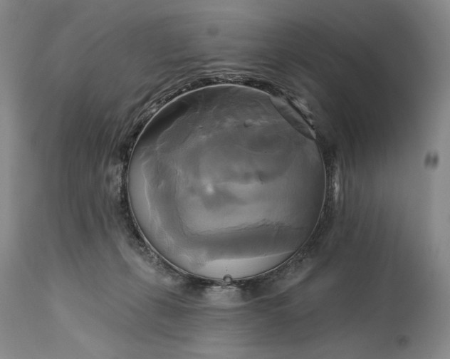 X0000115330271200911161816