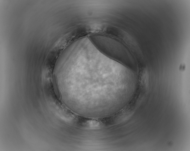 X0000115330272200911161816