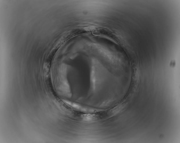 X0000115330273200911161816