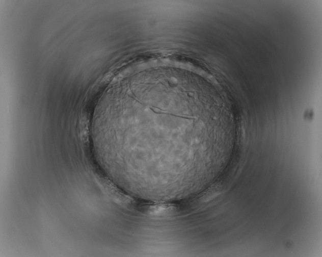 X0000115330274200911161816