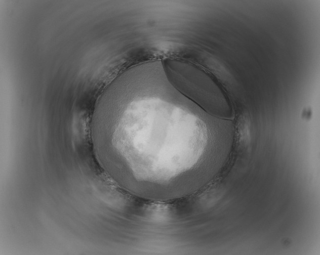 X0000115330276200911161816