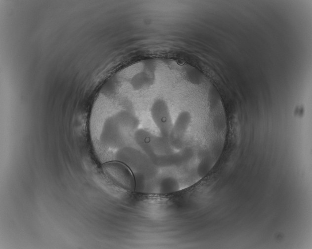 X0000115330278200911161816