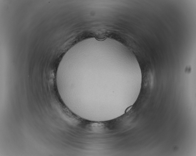 X0000115330279200911161816