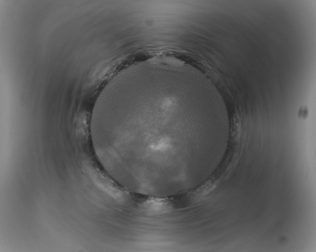 X0000115330280200911161816