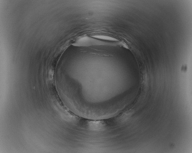 X0000115330281200911161816