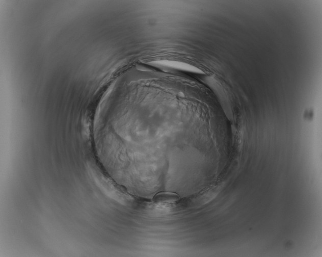 X0000115330282200911161816