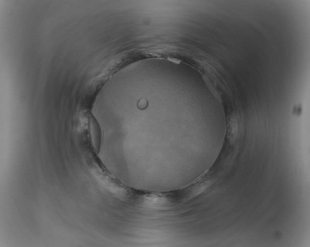 X0000115330284200911161816