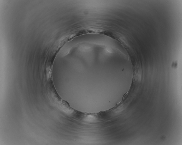 X0000115330285200911161816