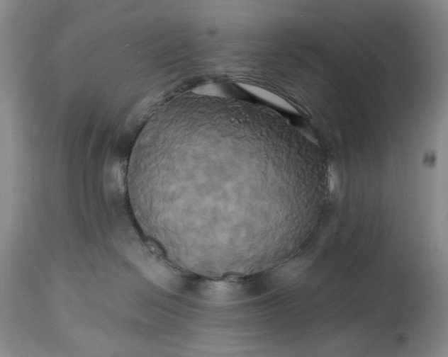 X0000115330286200911161816