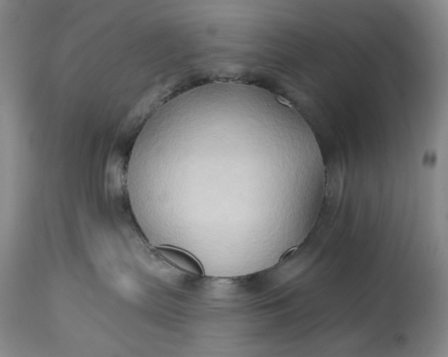 X0000115330287200911161816