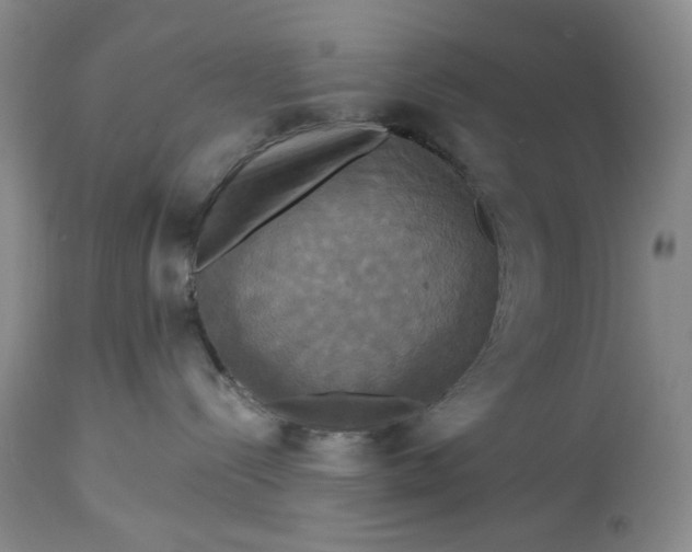 X0000115330288200911161816