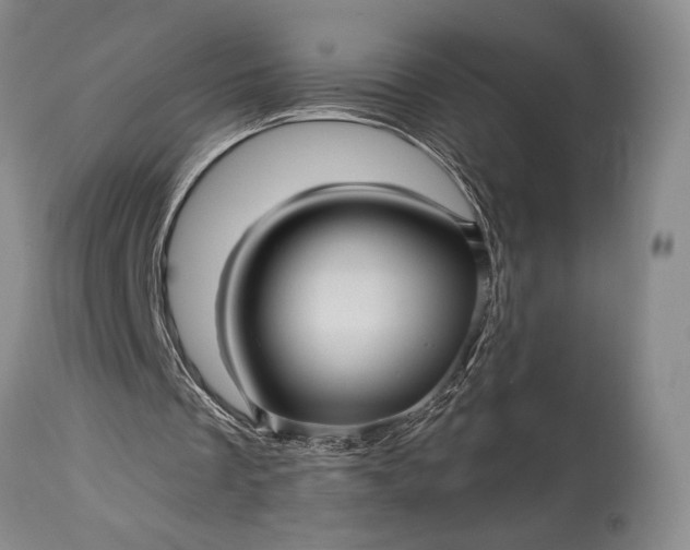 X0000115330289200911161815