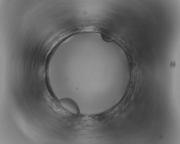 X0000115330290200911161815