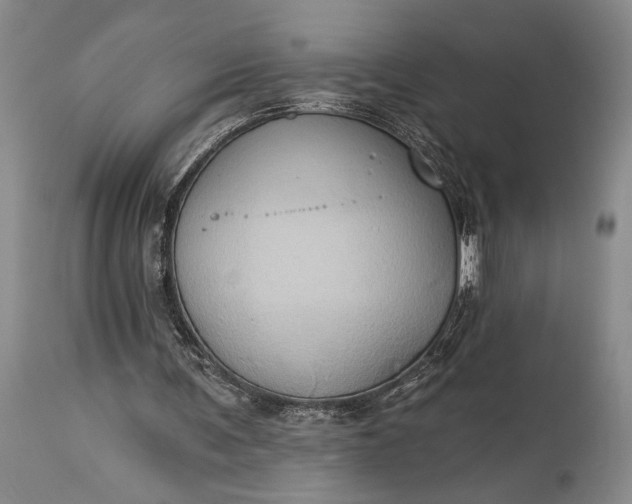 X0000115330291200911161815