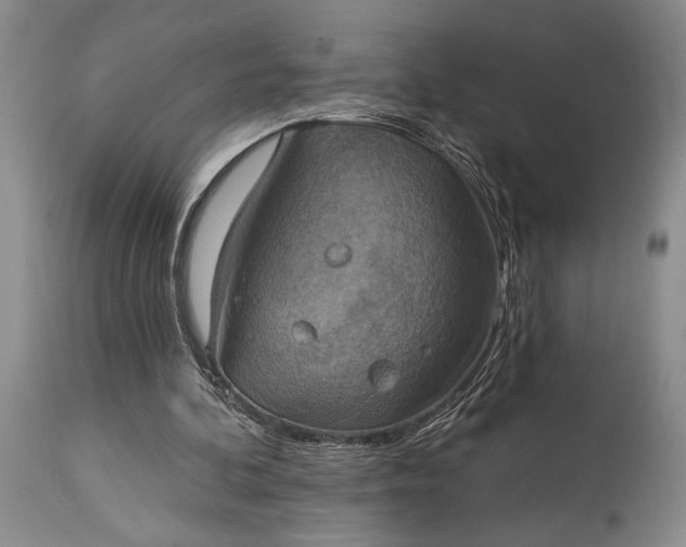 X0000115330292200911161815