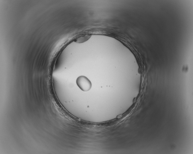 X0000115330293200911161815