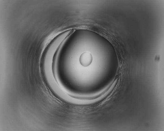 X0000115330294200911161815