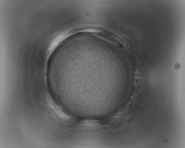 X0000115330296200911161815