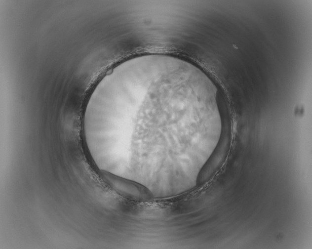 X0000115330297200911161815