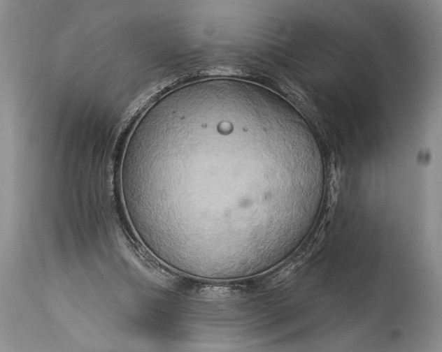 X0000115330298200911161815