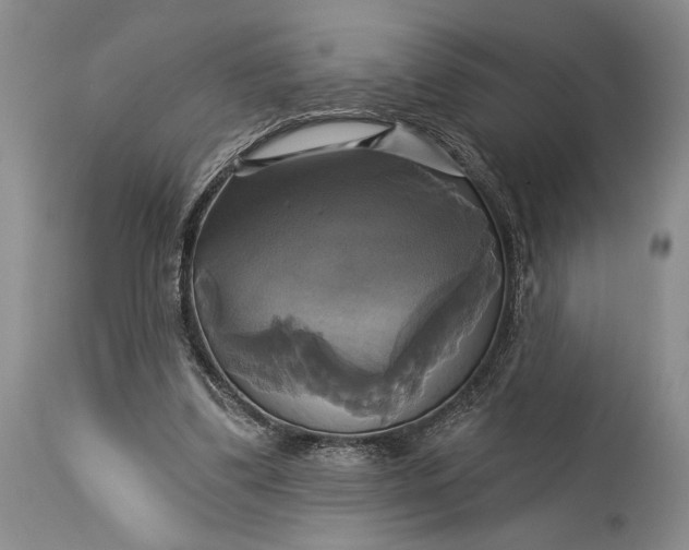 X0000115330299200911161815