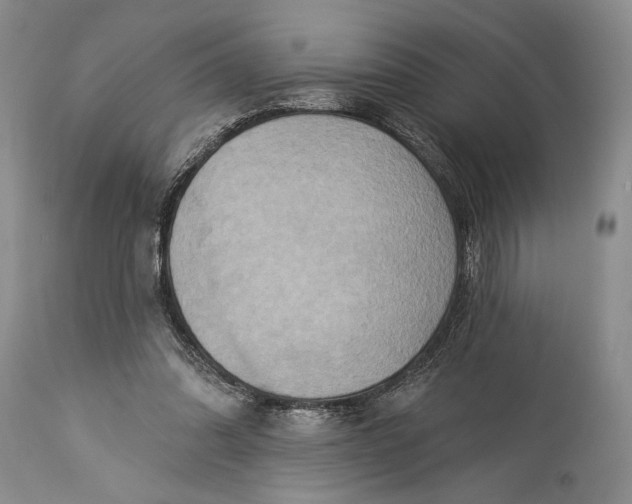 X0000115330302200911161815