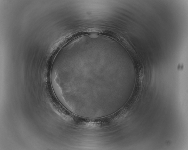 X0000115330303200911161815