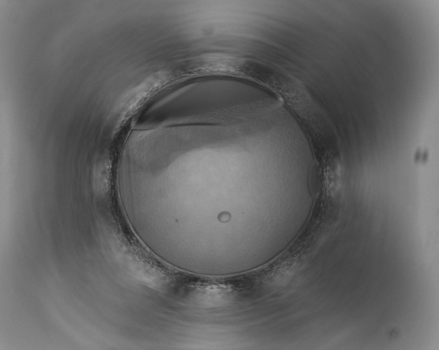 X0000115330304200911161815