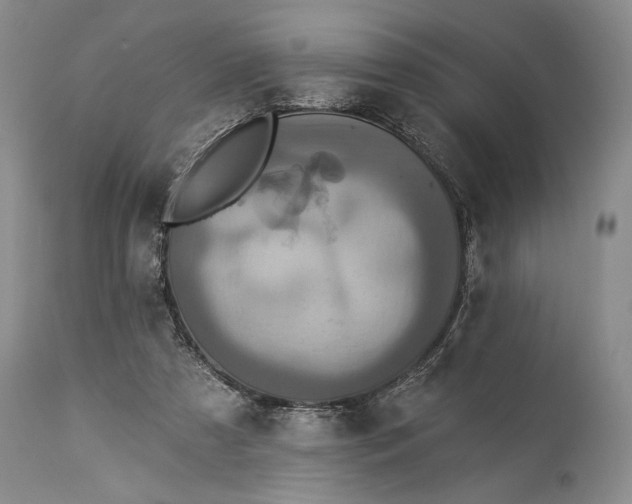 X0000115330305200911161815