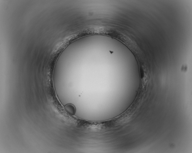 X0000115330306200911161815