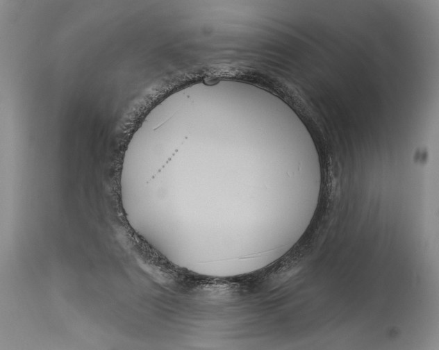 X0000115330307200911161815