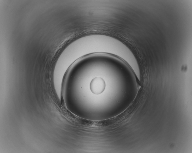 X0000115330308200911161815