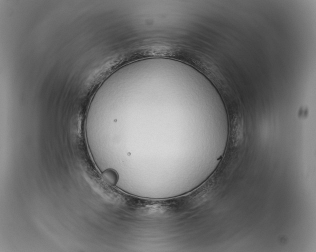 X0000115330310200911161815