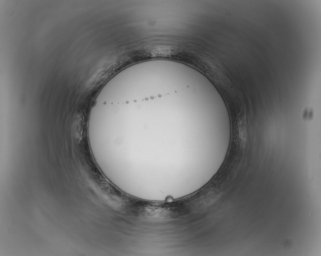 X0000115330311200911161815