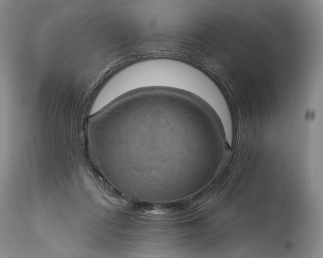 X0000115330312200911161815