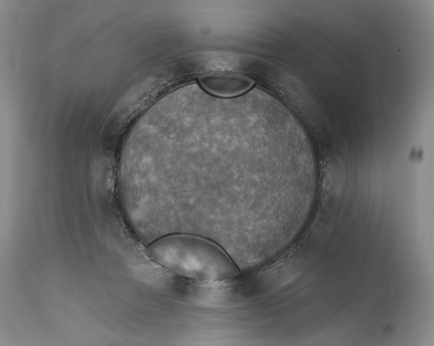 X0000115330313200911161815