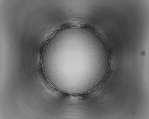 X0000115330314200911161815