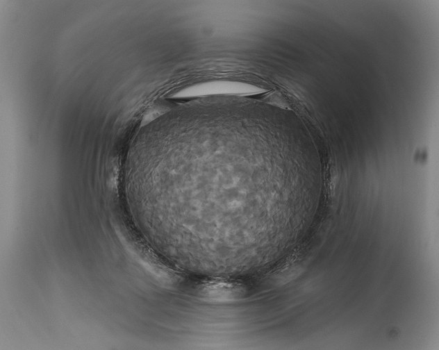 X0000115330315200911161815