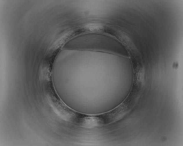 X0000115330316200911161815