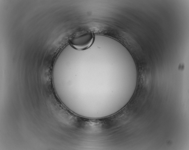 X0000115330317200911161815