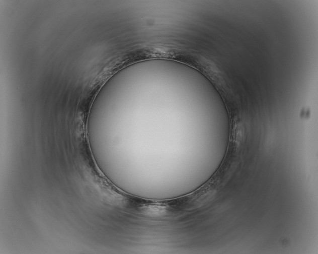 X0000115330318200911161815