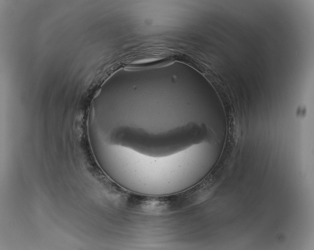 X0000115330319200911161815