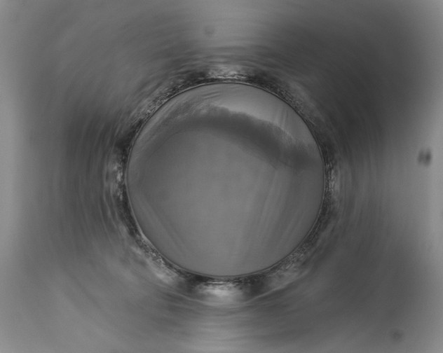 X0000115330322200911161815