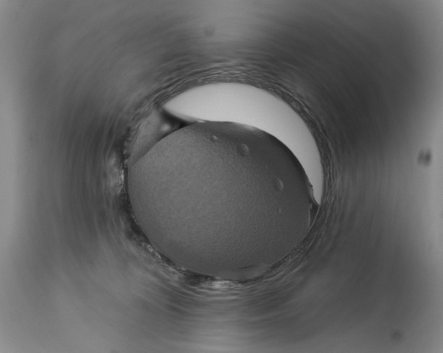 X0000115330324200911161815