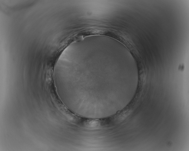 X0000115330325200911161815