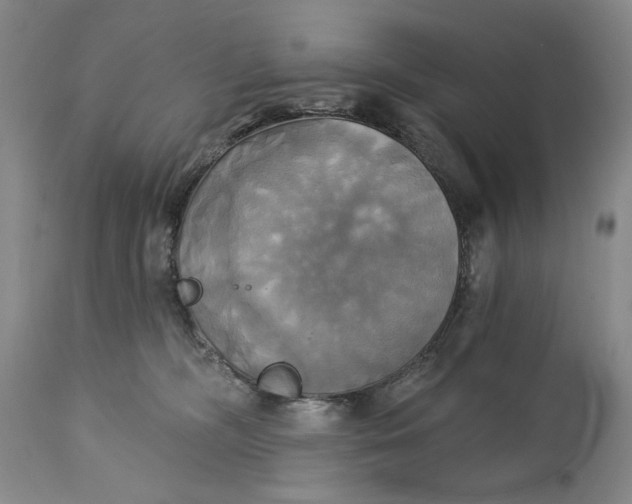 X0000115330326200911161815