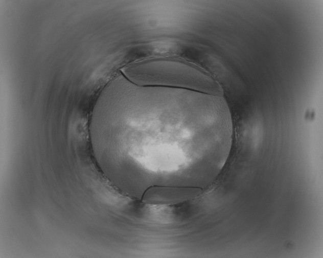 X0000115330327200911161815