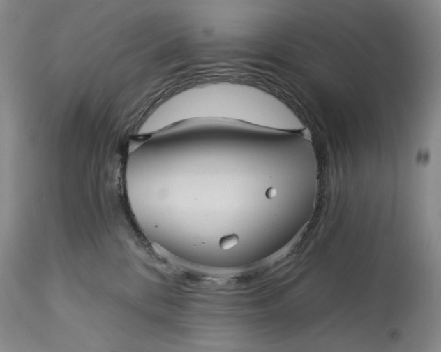 X0000115330328200911161815