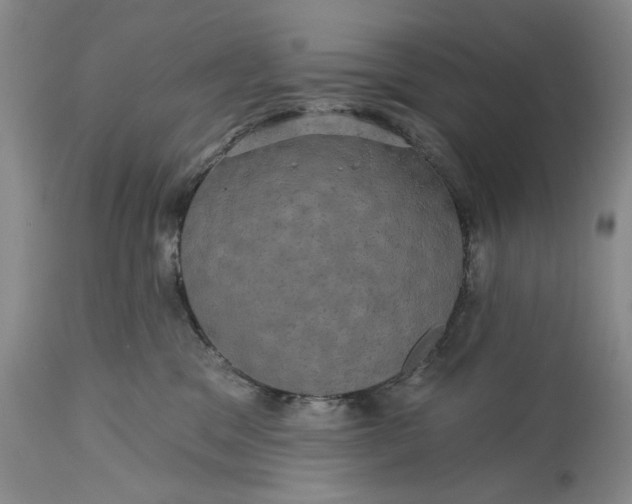 X0000115330329200911161815